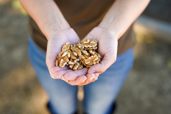 Young Adults Consuming Walnuts Reported Improved Sleep Quality, New Study Finds